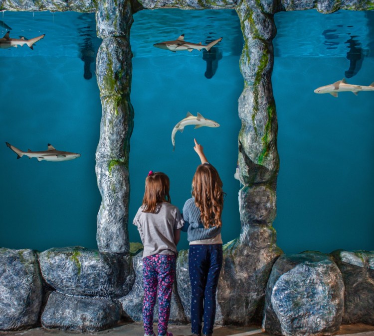 Blue Zoo Aquarium Spokane (Spokane,&nbspWA)
